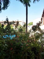 Casa Rosa (D19), Condominium #596361111